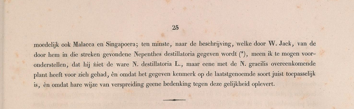 Nepenthes gracilis description