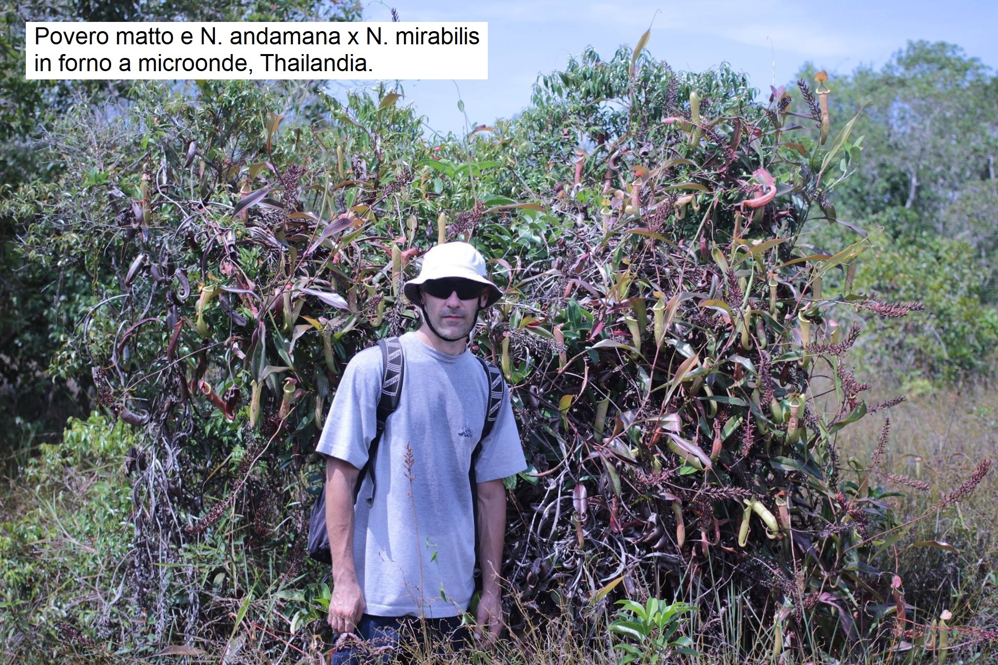 Marcello Catalano con Nepenthes in Thailandia