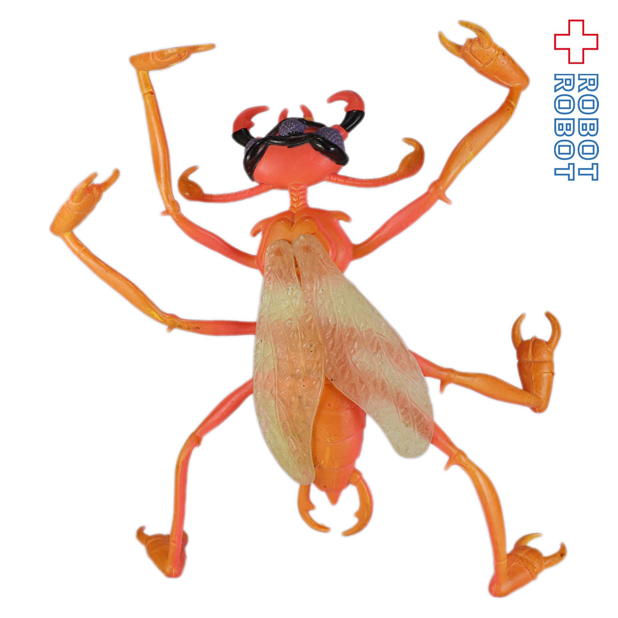 Sun Insect Litardi